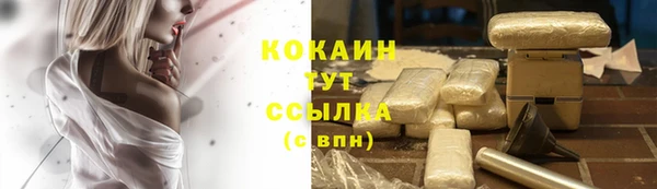 прущие крисы Богородицк